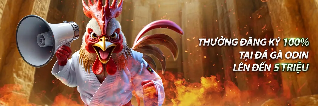 Hình ảnh banner khuyến mãi Kèo Nhà Cái 5.com